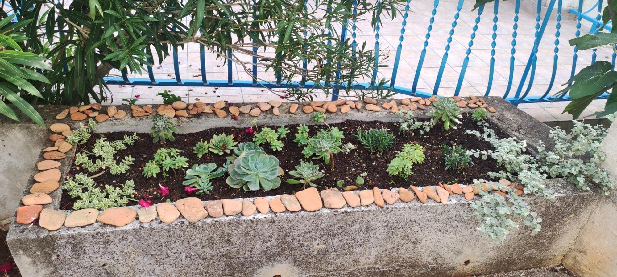 Apartments Paska Preko Εξωτερικό φωτογραφία