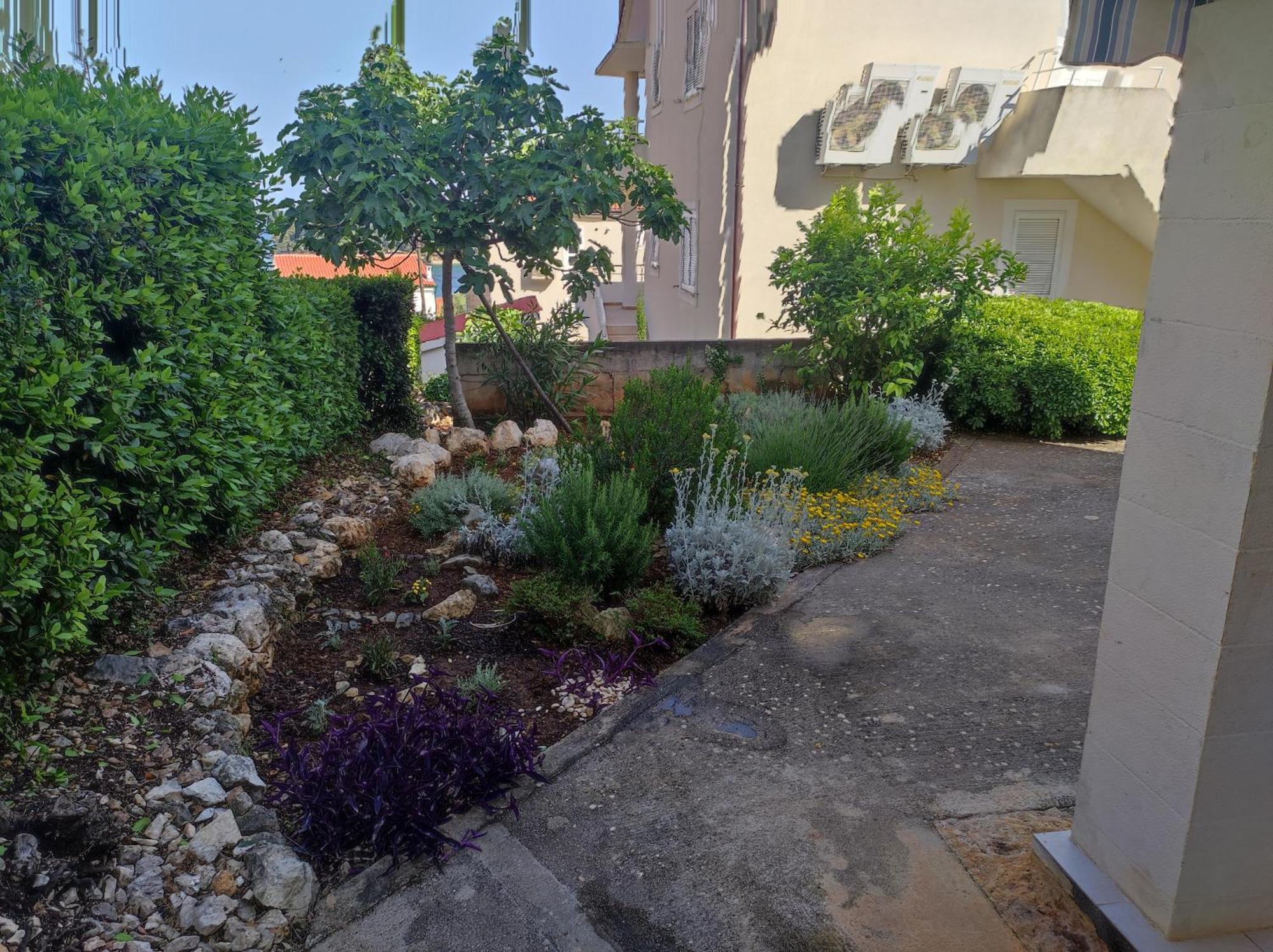 Apartments Paska Preko Εξωτερικό φωτογραφία